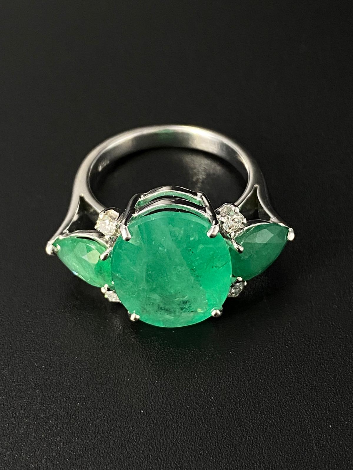 Catalog Item 8